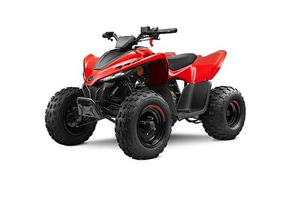 Daca vrei ca micutul tau sa mearga cu ATV-ul, iata ce trebuie sa afli!