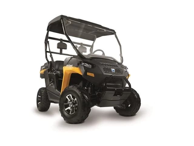 Prea putini cunoscuti in Europa, americanii de la Cub Cadet sunt printre protagonistii pietei mondiale de echipament outdoor de putere, producand utilaje si echipamente agricole, utilitare, tractoare si tractorase de ...