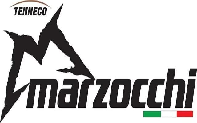 Se pare ca tentativele de salvare a producatorului italian de amortizoare Marzocchi au esuat si compania detinatoare Tenneco din Illinois SUA, care facuse achizitia in septembrie 2008, a anuntat inchiderea afacerii. A...