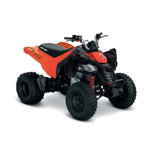 Can-Am DS 250 INT '26