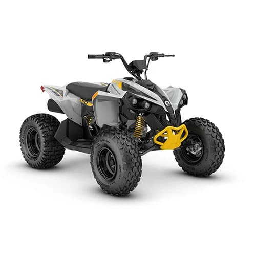 Can-Am Renegade 110 EFI INT '26